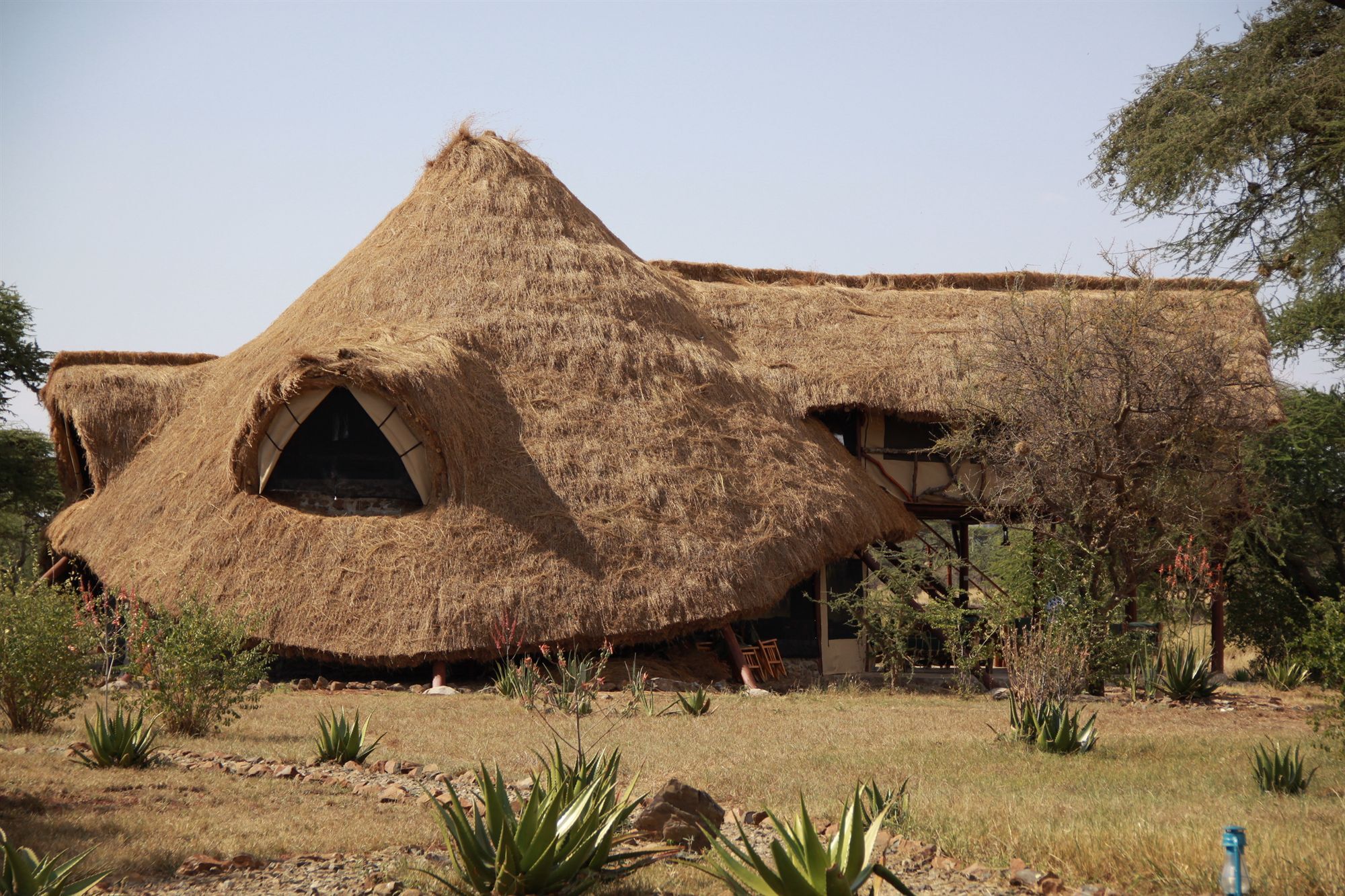 Mapito Tented Camp סרנגטי מראה חיצוני תמונה