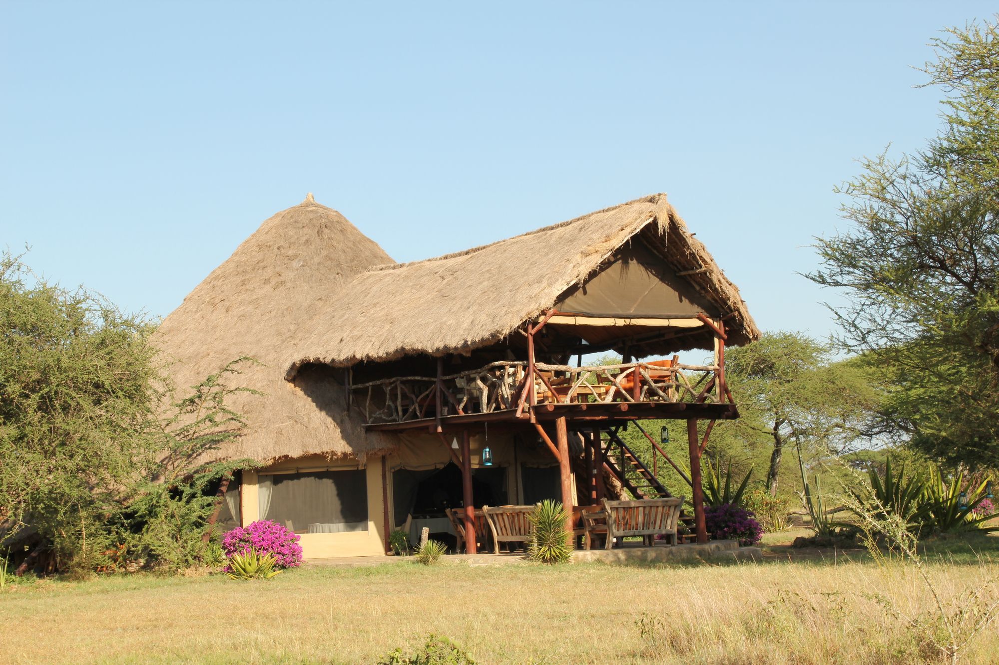 Mapito Tented Camp סרנגטי מראה חיצוני תמונה